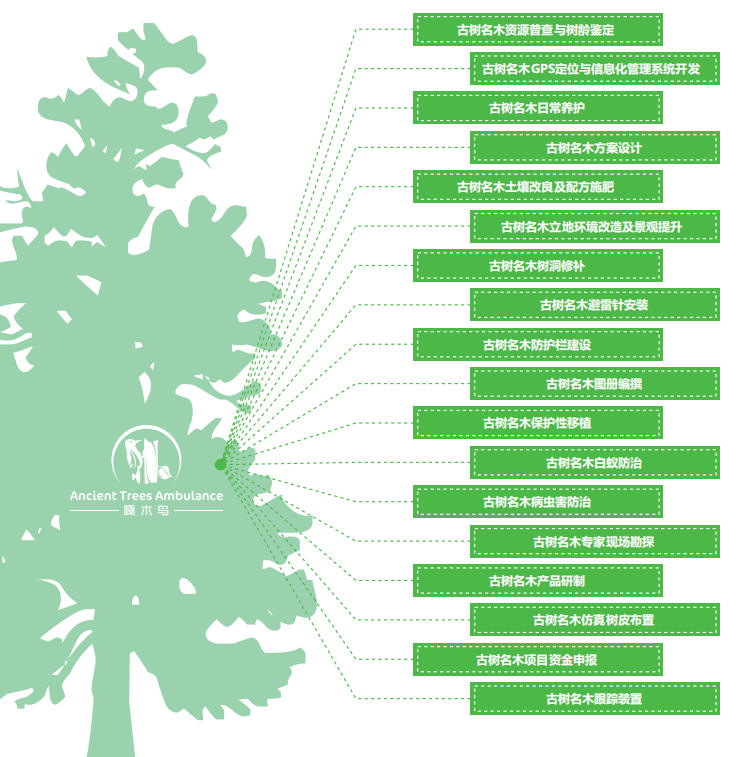 ���Ճ���